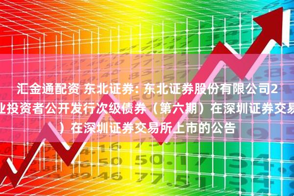 汇金通配资 东北证券: 东北证券股份有限公司2025年面向专业投资者公开发行次级债券（第六期）在深圳证券交易所上市的公告